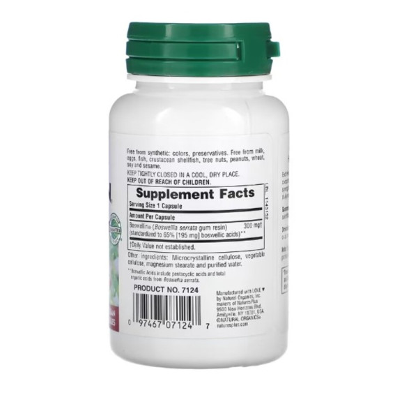 NaturesPlus, Herbal Actives, Boswellin, 300 mg, 60 Vegan Capsules