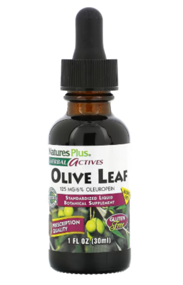 NaturesPlus, Herbal Actives, Olive Leaf, Alcohol Free, 1 fl oz (30 ml)