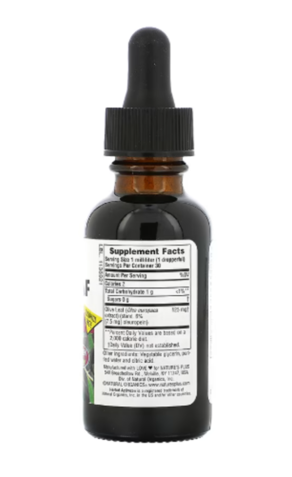 NaturesPlus, Herbal Actives, Olive Leaf, Alcohol Free, 1 fl oz (30 ml)