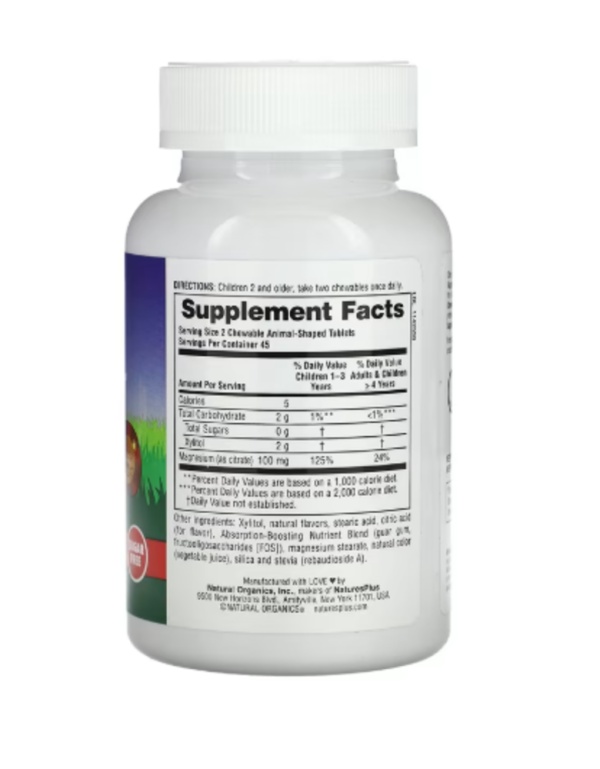 NaturesPlus, MagKidz, Animal Parade, Children's Chewable Magnesium, Cherry, 90 Animal-Shaped Tablets