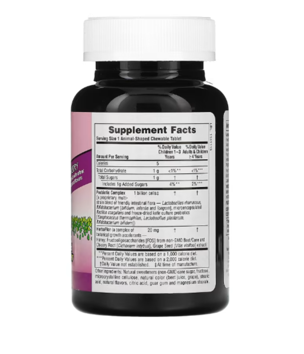 NaturesPlus, Source of Life, Animal Parade, AcidophiKidz, Children's Chewable, Berry, 90 Animal-Shaped Tablets