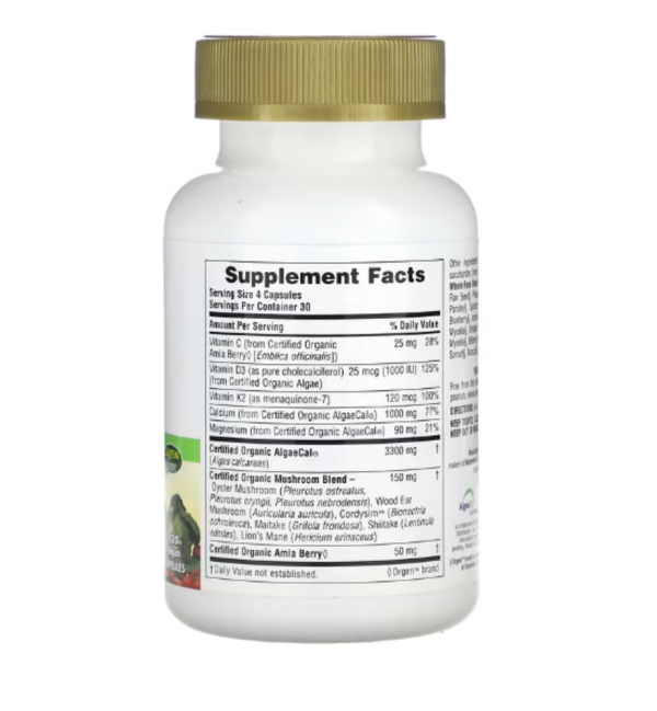 NaturesPlus, Source of Life Garden, Organic Bone Support, 120 Vegan Capsules