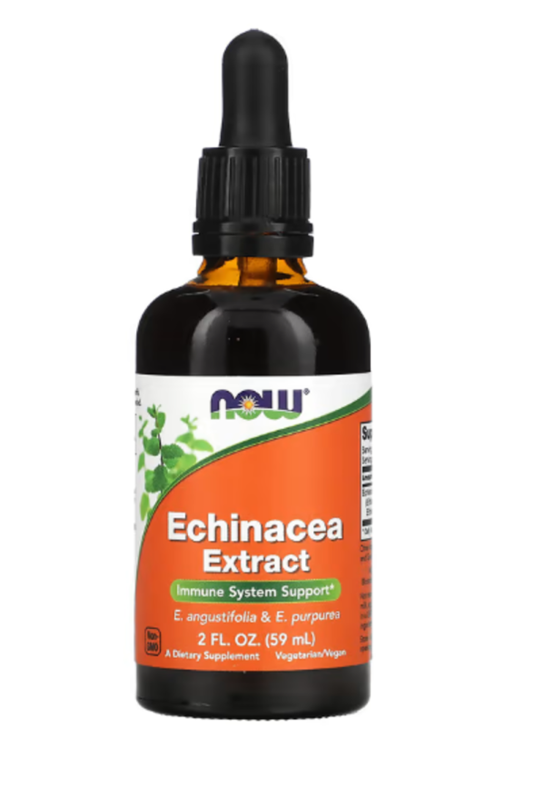 Now Foods, Echinacea Extract, 2 fl oz (60 ml)