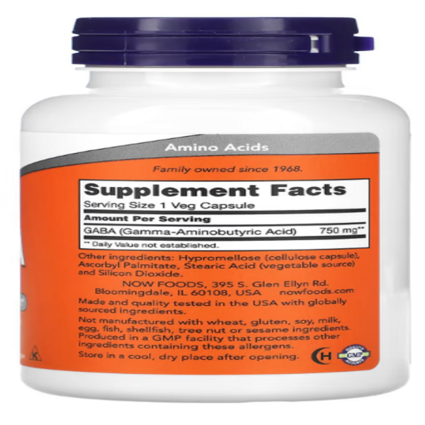 NOW Foods, GABA, 750 mg, 100 Veg Capsules