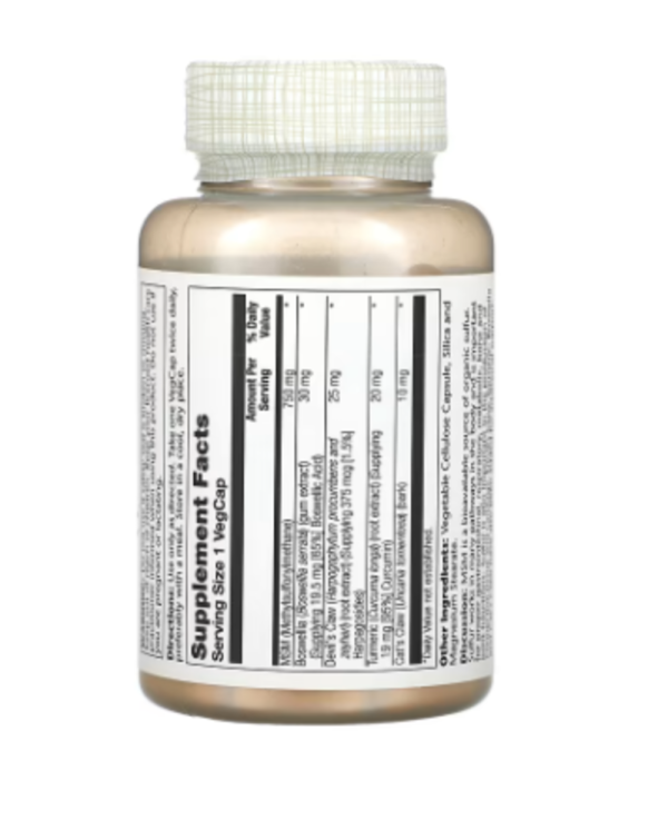 Solaray, MSM with Turmeric, Boswellia & Devil's Claw, 750 mg, 90 VegCaps