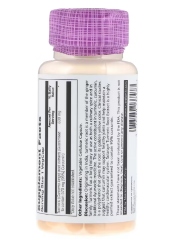 Solaray, One Daily, Turmeric Root Extract, 600 mg, 30 VegCaps