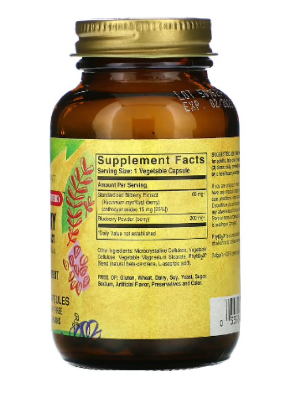 Solgar, Bilberry Berry Extract, 60 Vegetable Capsules