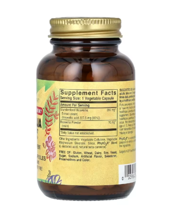 Solgar, Boswellia Resin Extract, 60 Vegetable Capsules