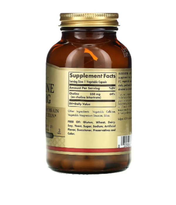 Solgar, Choline, 350 mg, 100 Vegetable Capsule