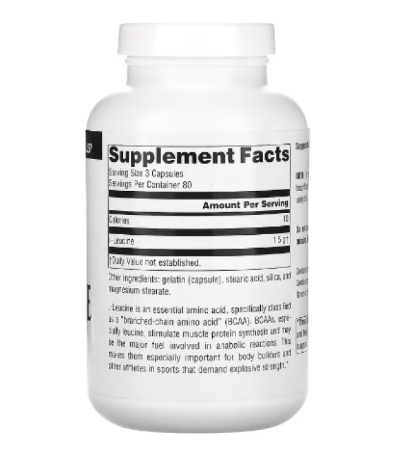 Source Naturals, L-Leucine, 500 mg, 240 Capsules