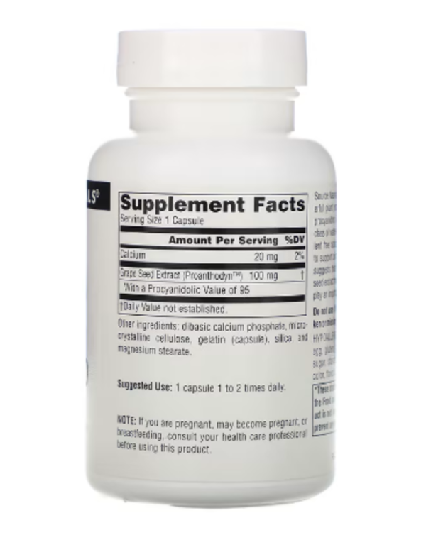 Source Naturals, Proanthodyn, Grape Seed Extract, 100 mg, 120 Capsules