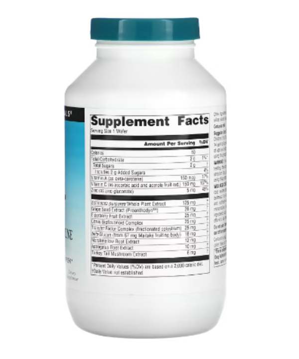 Source Naturals, Wellness Children's Immune Chewable, Berry , 120 Wafers