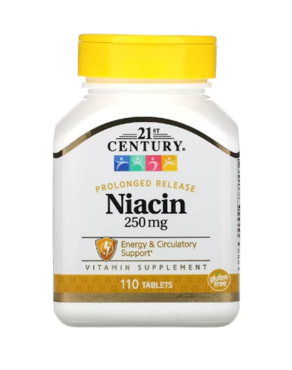 21st Century, Niacin, Prolonged Release, 250 mg, 110 Tablets