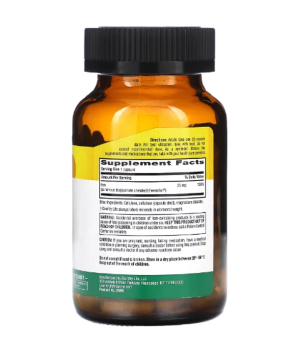 Country Life, Easy Iron, 25 mg, 90 Vegan Capsules
