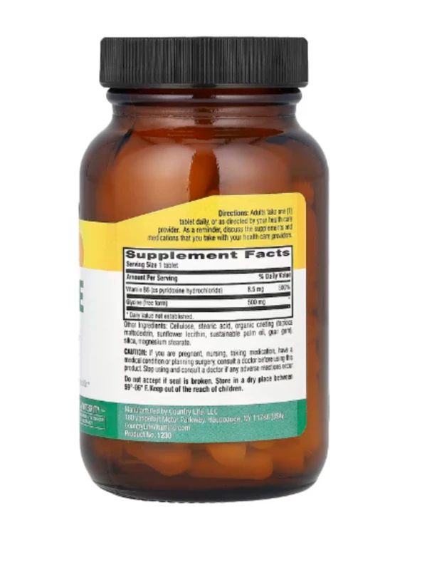 Country Life, Glycine, 500 mg, 100 Tablets