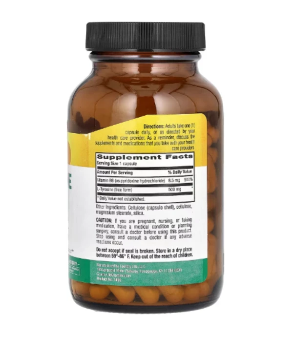Country Life, L-Tyrosine Caps, 500 mg, 100 Vegetarian Capsules