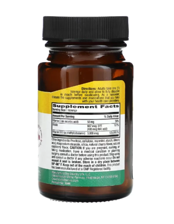 Country Life, Methyl B12, Berry, 3,000 mcg, 50 Lozenges