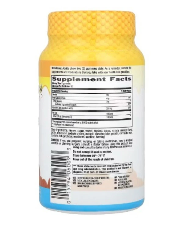 Country Life, Omega-3 Honey Gummies, Natural Orange, 60 Gummies