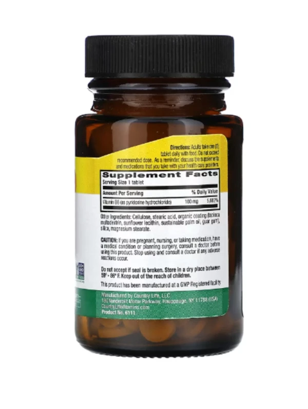 Country Life, Vitamin B6, 100 mg, 100 Tablets