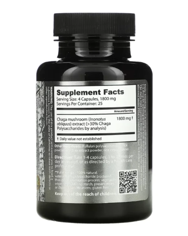 Dragon Herbs ( Ron Teeguarden ), Wild Siberian Chaga, 450 mg, 100 Capsules