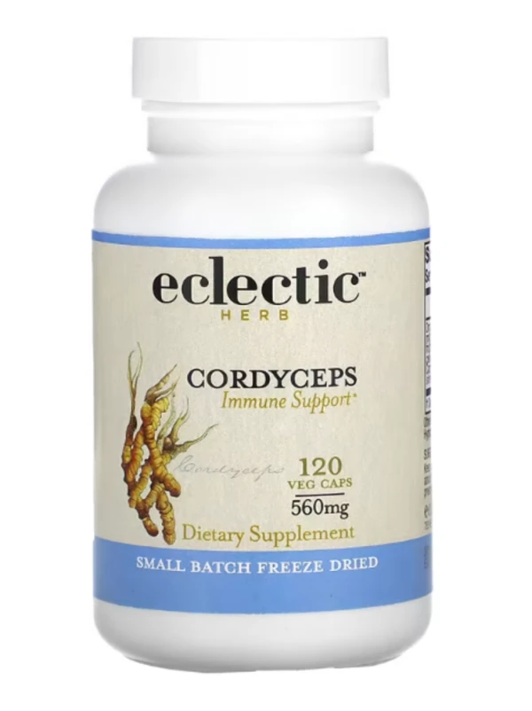 Eclectic Institute, Freeze Dried, Cordyceps, 560 mg, 120 Veg Caps