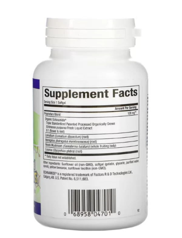 Natural Factors, Anti-V Formula, with Clinically Proven Echinamide, 120 Softgels