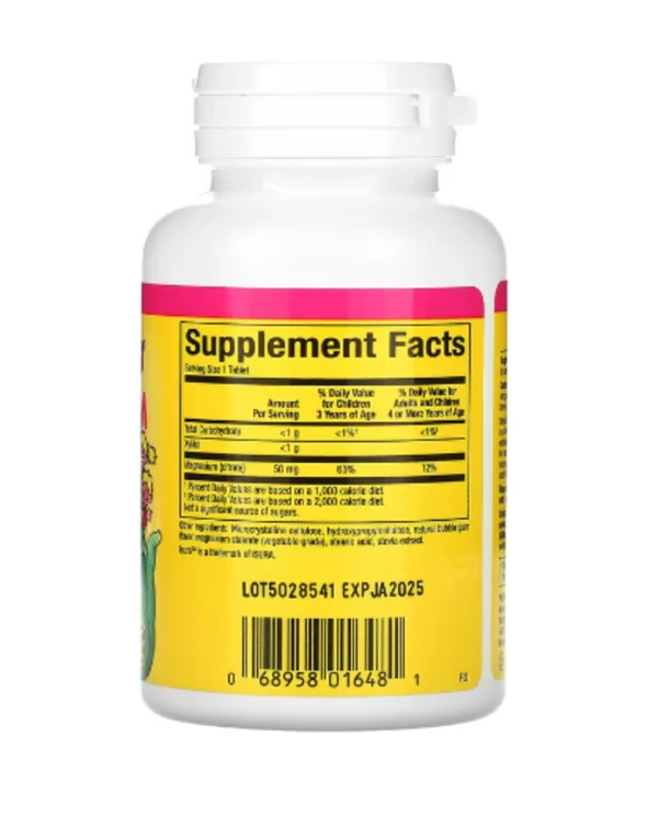 Natural Factors, Big Friends, Magnesium Citrate, Bubble Gum, 50 mg, 60 Chewable Tablets