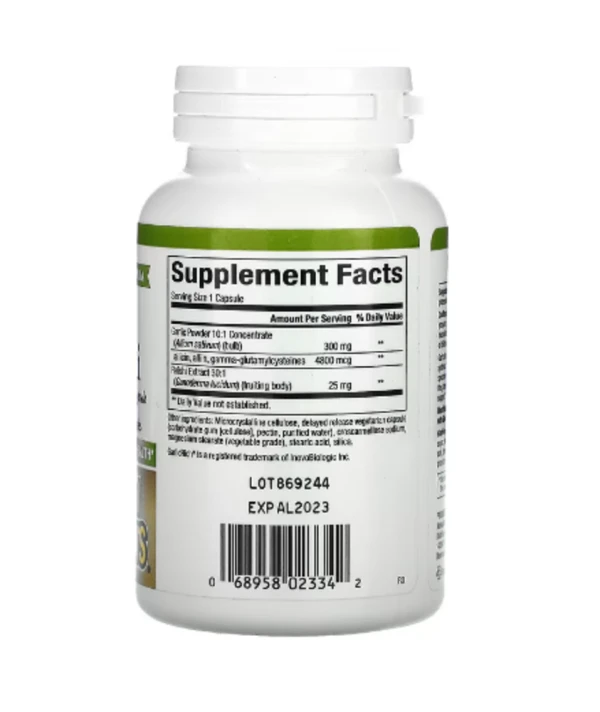 Natural Factors, GarlicRich, Super Strength Garlic + Reishi, 120 Delayed Release Vegetarian Capsules