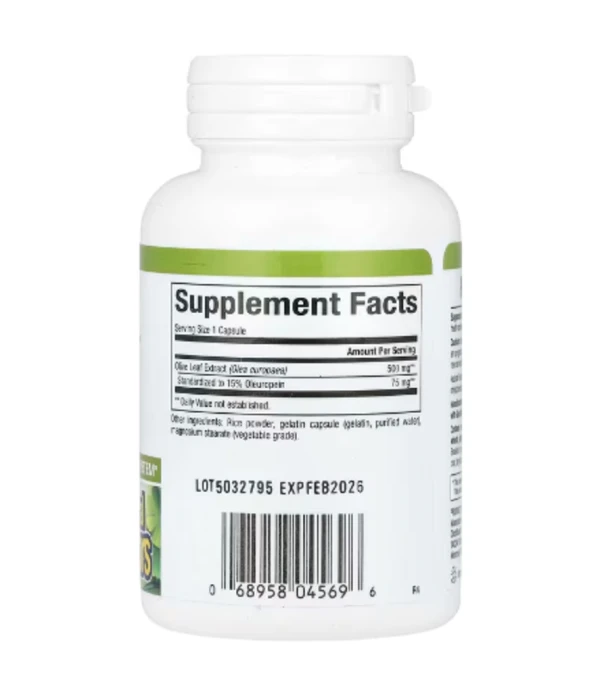 Natural Factors, HerbalFactors, Olive Leaf, 500 mg, 60 Capsules