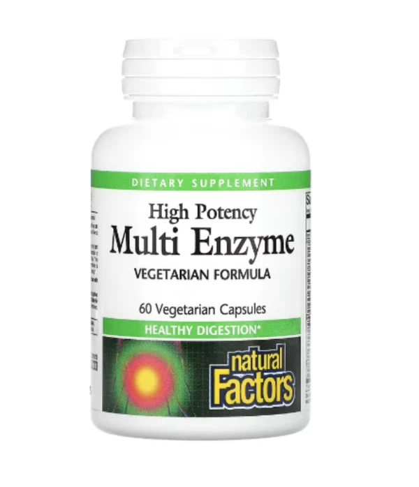 Natural Factors, High Potency Multi Enzyme, 60 Vegetarian Capsules