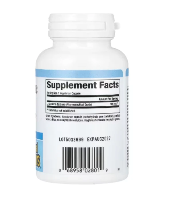 Natural Factors, L-Carnitine, 500 mg, 60 Vegetarian Capsules