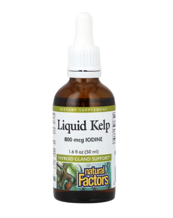 Natural Factors, Liquid Kelp, 800 mcg, 1.6 fl oz (50 ml)