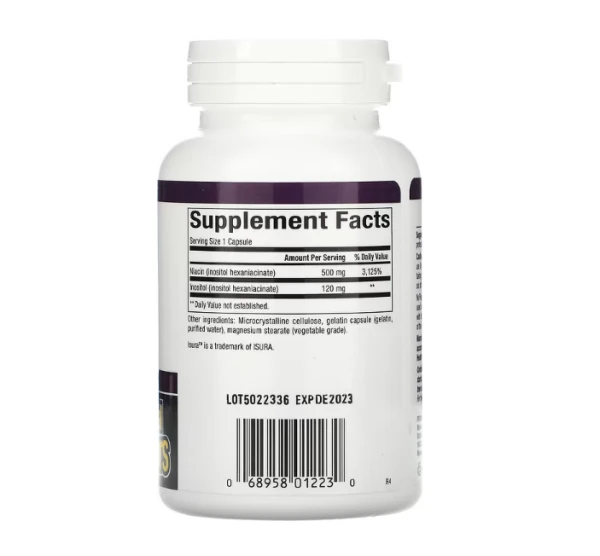 Natural Factors, No Flush Niacin, 500 mg, 90 Capsules