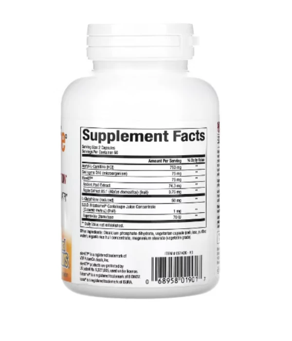 Natural Factors, RegenerLife, Optimize Mitochondrial Function, 120 Vegetarian Capsules