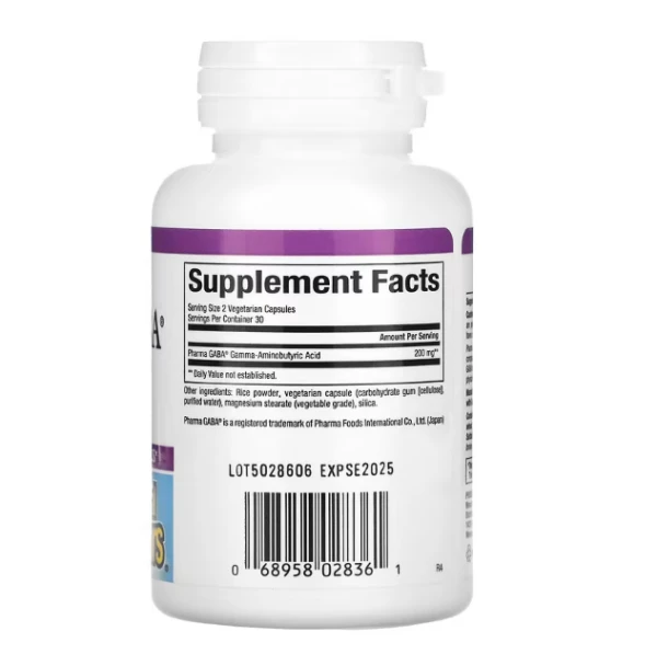 Natural Factors, Stress Relax, Pharma GABA, 100 mg, 60 Vegetarian Capsules