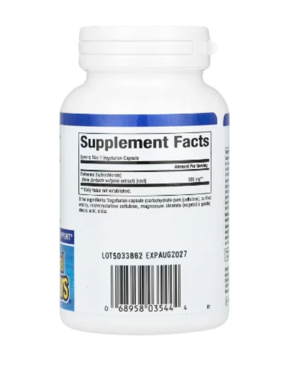 Natural Factors, WellBetX Berberine, 500 mg, 60 Vegetarian Capsules