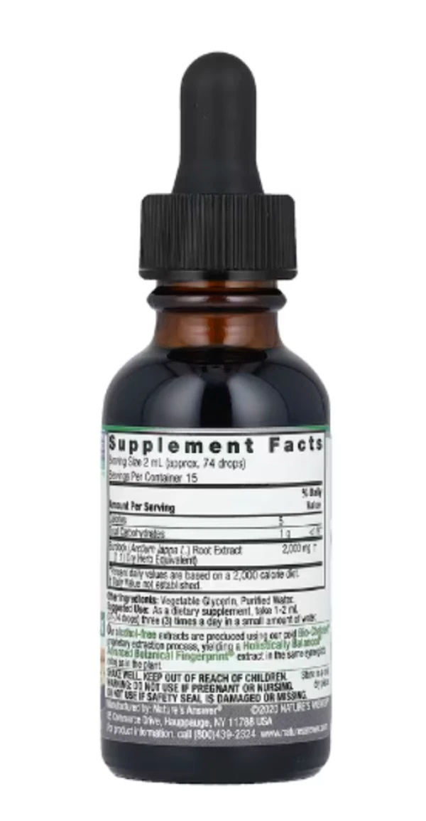 Nature's Answer, Burdock Root Fluid Extract, Alcohol-Free, 2,000 mg, 1 fl oz (30 ml)