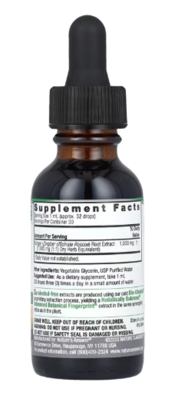Nature's Answer, Ginger Root, Fluid Extract, Alcohol-Free, 1,000 mg, 1 fl oz (30 ml)