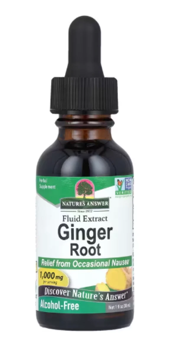 Nature's Answer, Ginger Root, Fluid Extract, Alcohol-Free, 1,000 mg, 1 fl oz (30 ml)