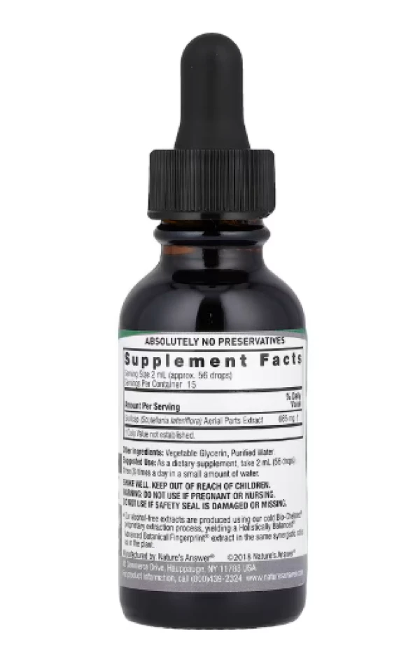 Nature's Answer, Skullcap Extract, Alcohol-Free, 2,000 mg, 1 fl oz (30 ml)