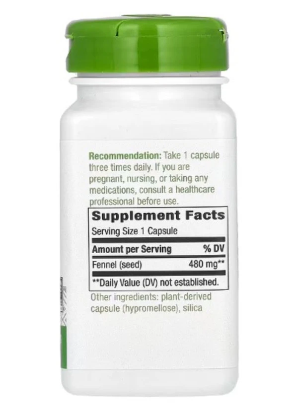 Nature's Way, Fennel Seed, 480 mg, 100 Vegan Capsules