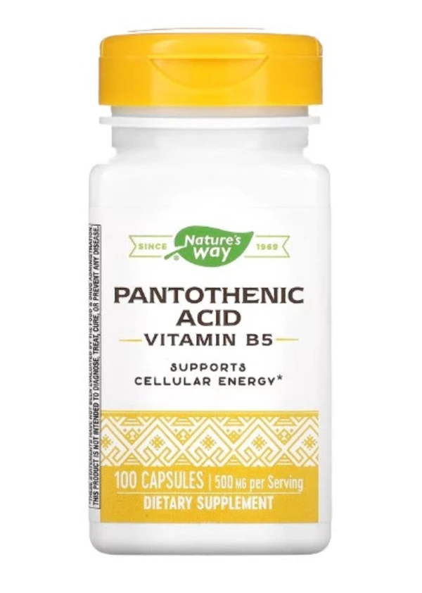 Nature's Way, Pantothenic Acid, Vitamin B5, 500 mg, 100 Capsules (250 mg per Capsule)