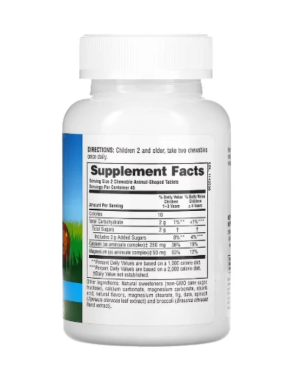 NaturesPlus, Animal Parade, Calcium, Children's Chewable Supplement, Vanilla Sundae, 90 Animal-Shaped Tablets
