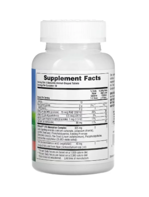 NaturesPlus, Animal Parade, DHA Kids, Children's Chewable Omega-3 Supplement, Cherry, 90 Animal-Shaped Tablets
