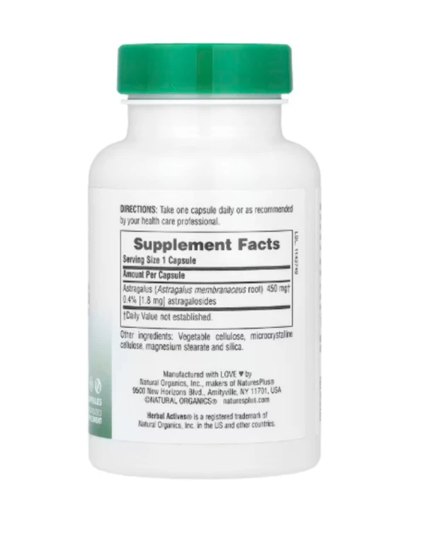 NaturesPlus, Herbal Actives, Astragalus, 450 mg, 60 Capsules