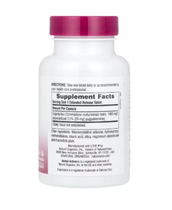 NaturesPlus, Herbal Actives, Gugulipid®, Extended Release, 1,000 mg, 30 Tablets