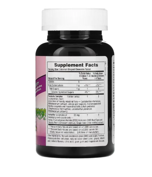 NaturesPlus, Source of Life, Animal Parade, AcidophiKidz, Children's Chewable, Berry, 90 Animal-Shaped Tablets