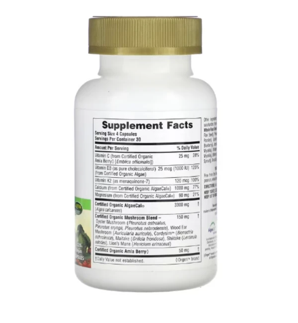 NaturesPlus, Source of Life Garden, Organic Bone Support, 120 Vegan Capsules