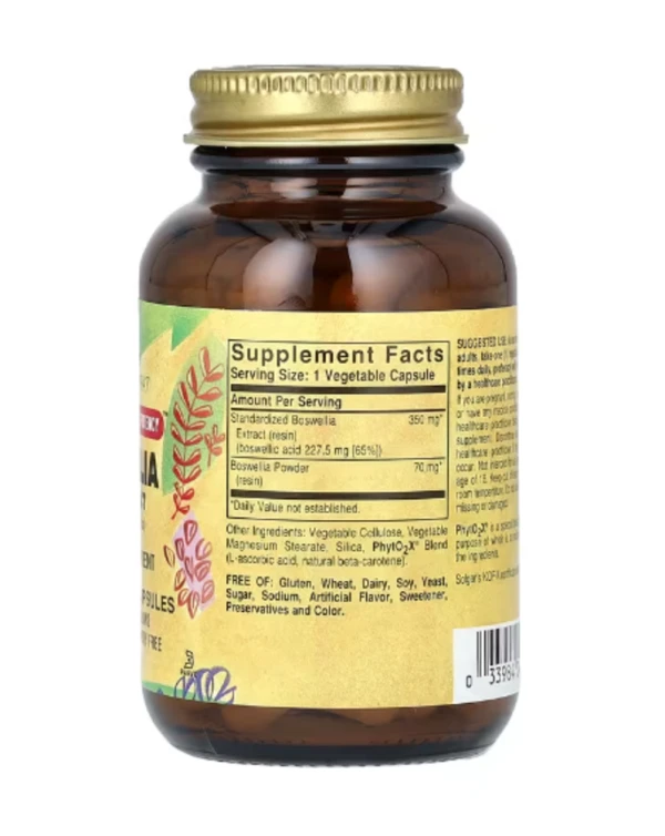 Solgar, Boswellia Resin Extract, 60 Vegetable Capsules