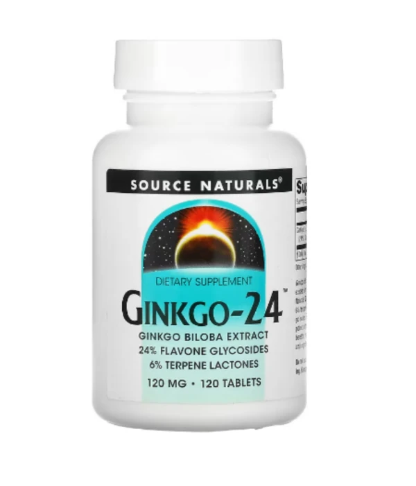 Source Naturals, Ginkgo-24, 120 mg, 120 Tablets